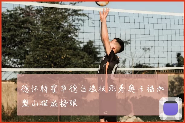 德怀特霍华德当选状元秀奥卡福加盟山猫成榜眼