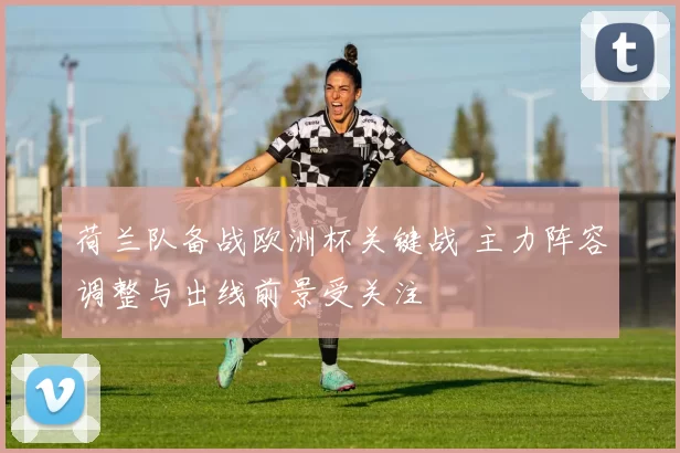 荷兰队备战欧洲杯关键战 主力阵容调整与出线前景受关注