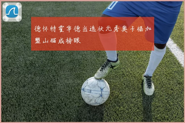 德怀特霍华德当选状元秀奥卡福加盟山猫成榜眼