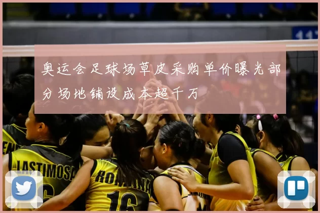 奥运会足球场草皮采购单价曝光部分场地铺设成本超千万