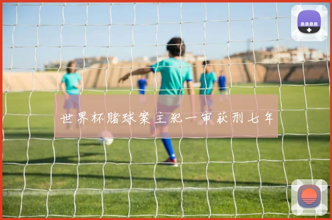 世界杯赌球案主犯一审获刑七年