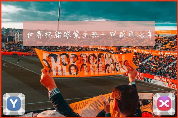 世界杯赌球案主犯一审获刑七年
