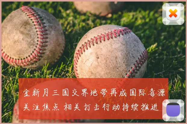 金新月三国交界地带再成国际毒源关注焦点 相关打击行动持续推进