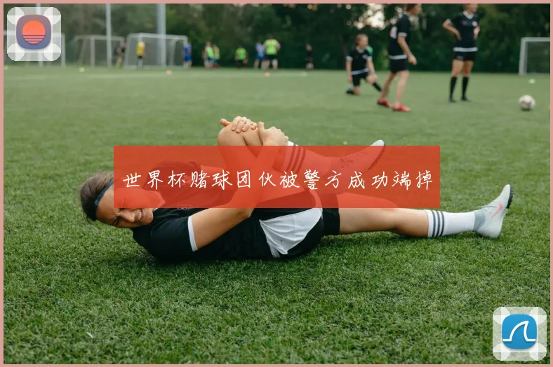世界杯赌球团伙被警方成功端掉