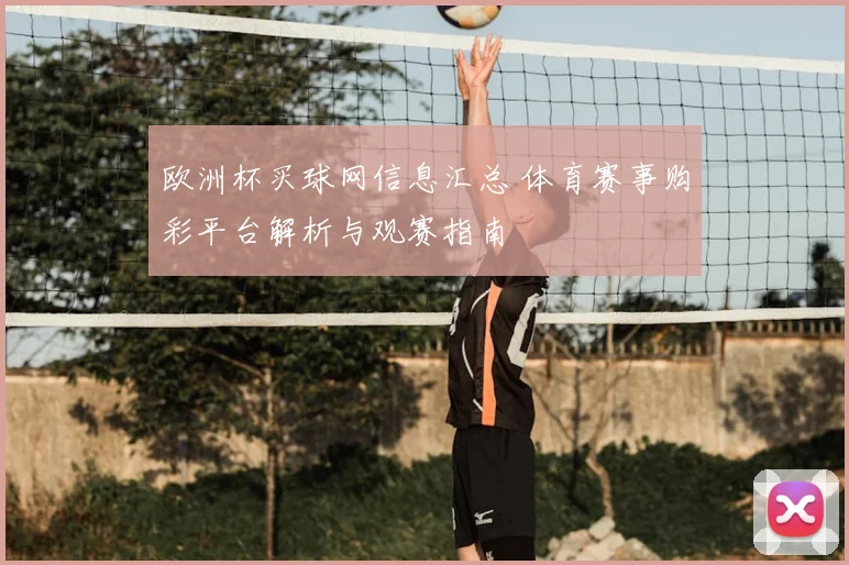 欧洲杯买球网信息汇总 体育赛事购彩平台解析与观赛指南